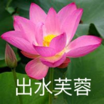 决战魔域高爆版下载